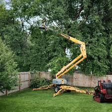 Trusted Beulah, ND Tree Removal and Landscaping Services Experts